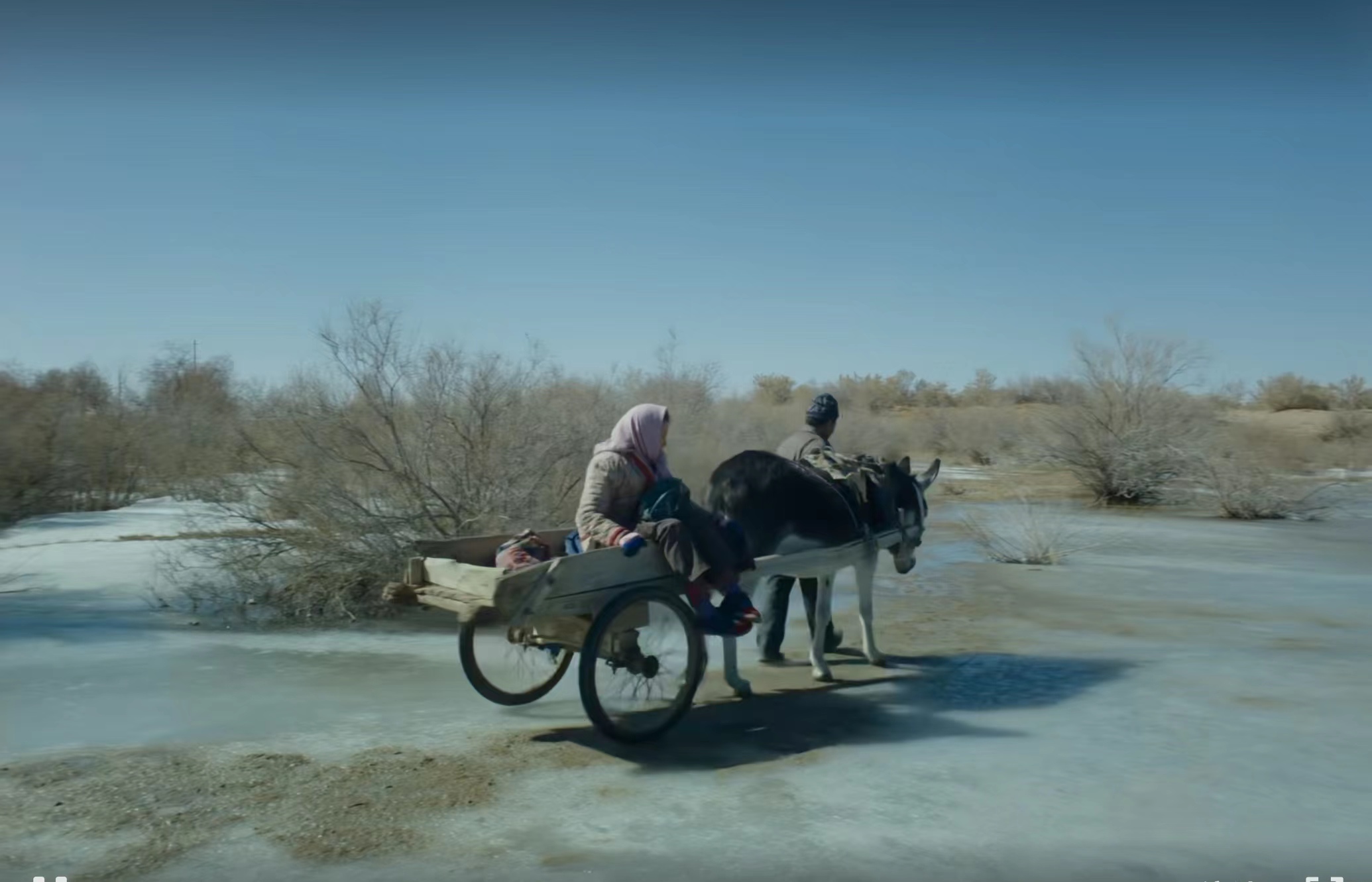 电影欣赏（六）《隐入尘烟》中的卑微人生