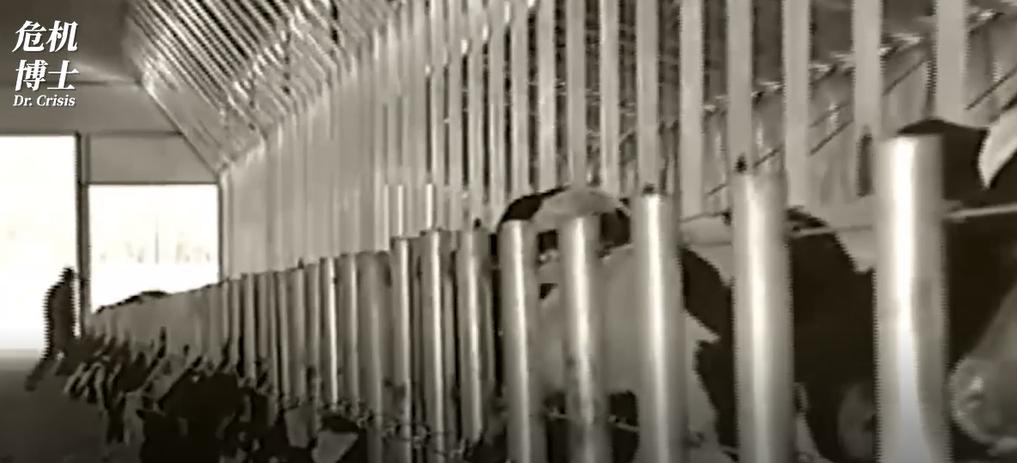 蒙牛和伊利之间的竞争,蒙牛集团和伊利集团谁大