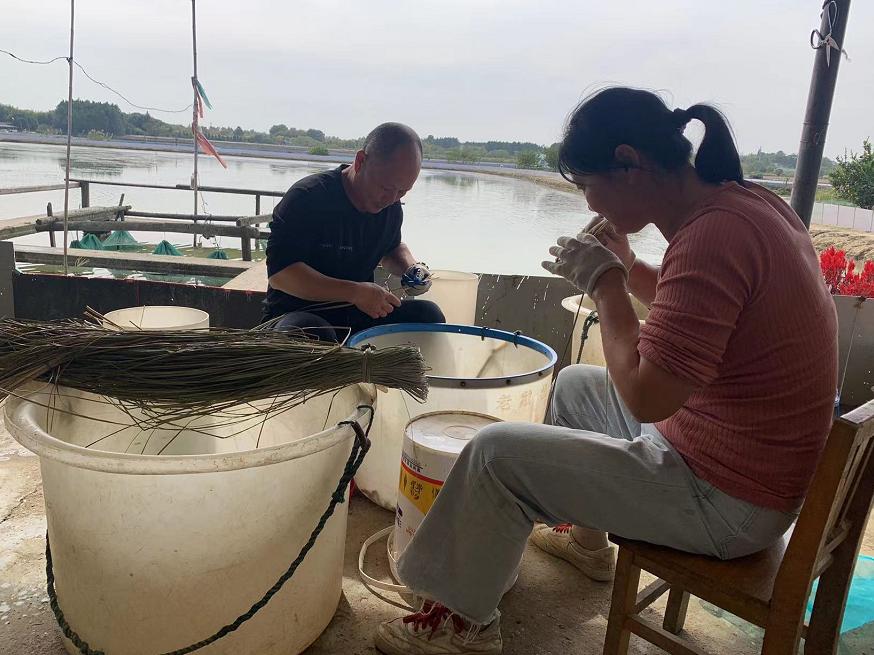学习贯彻党的二十大精神三句半,学习贯彻党的二十大精神开场视频