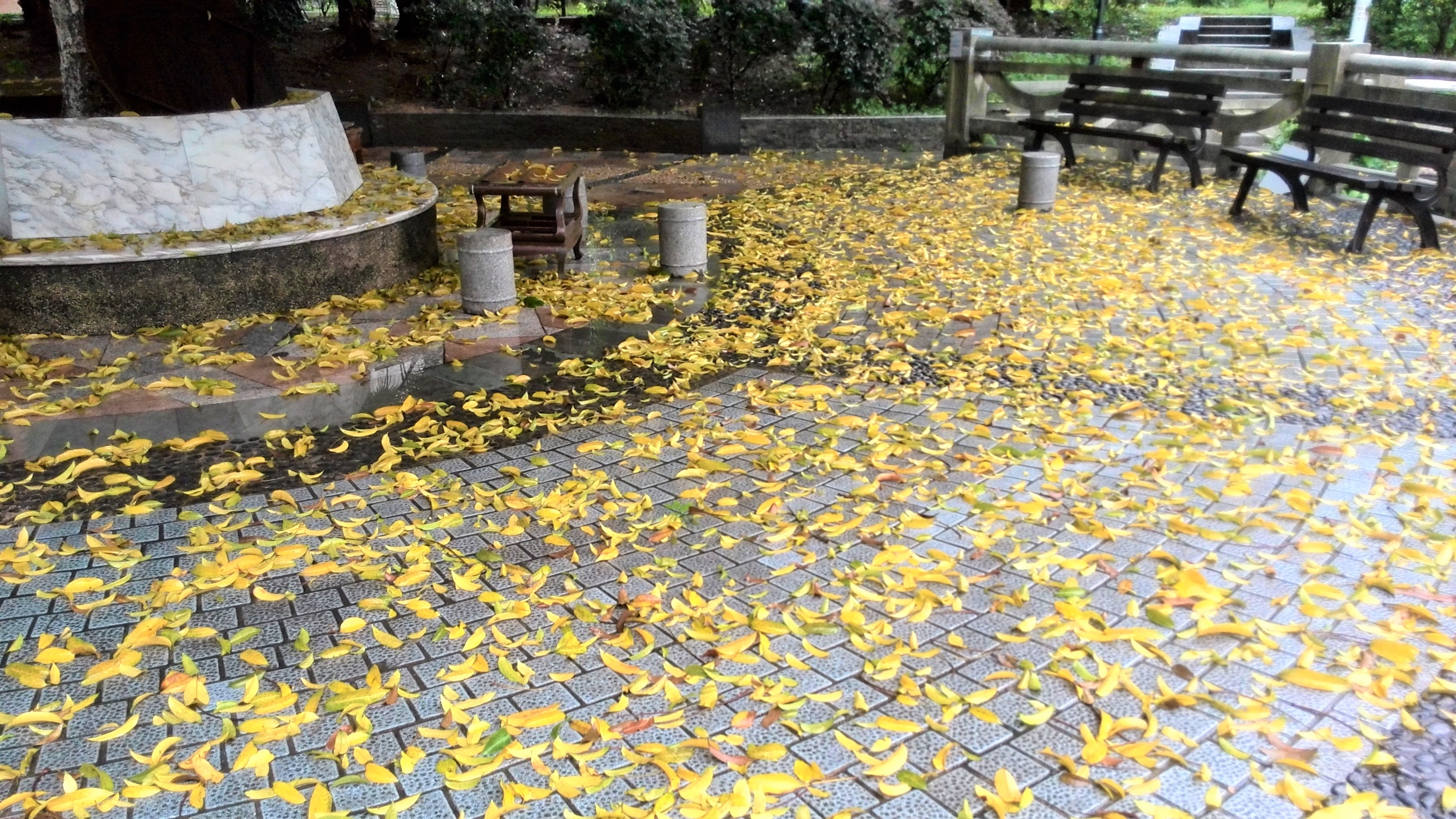 华南第一中山大学,中山大学广东人眼中的清华