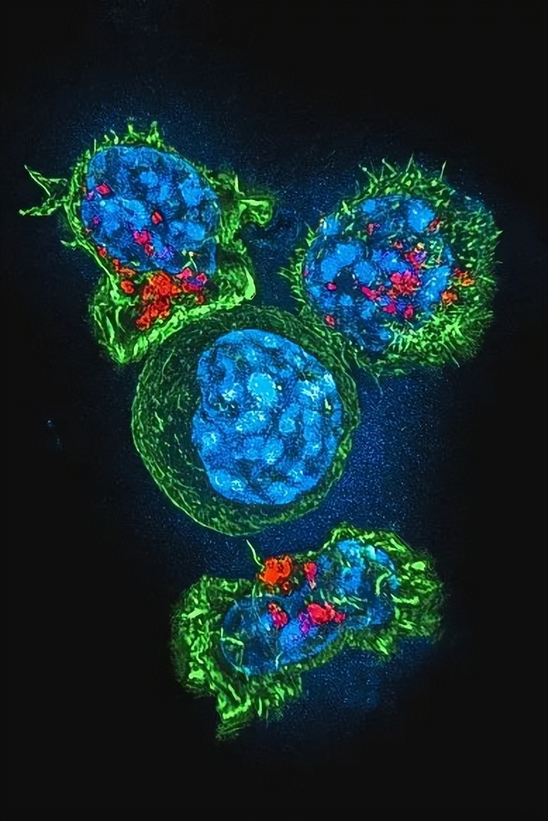 致与病毒搏斗的你！
