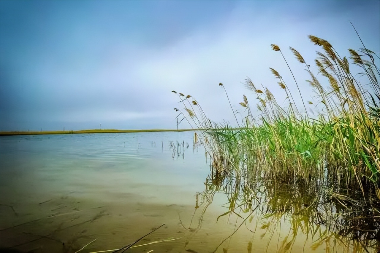 今非昔比下一句怎么说呢,今非昔比翻译