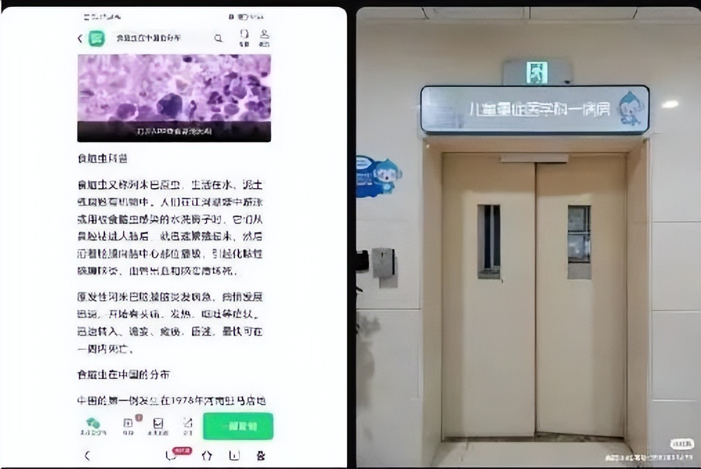 贵州一家三口到海南旅游，6岁儿子下海游泳后高烧不退病危，医生：整个大脑像豆腐渣