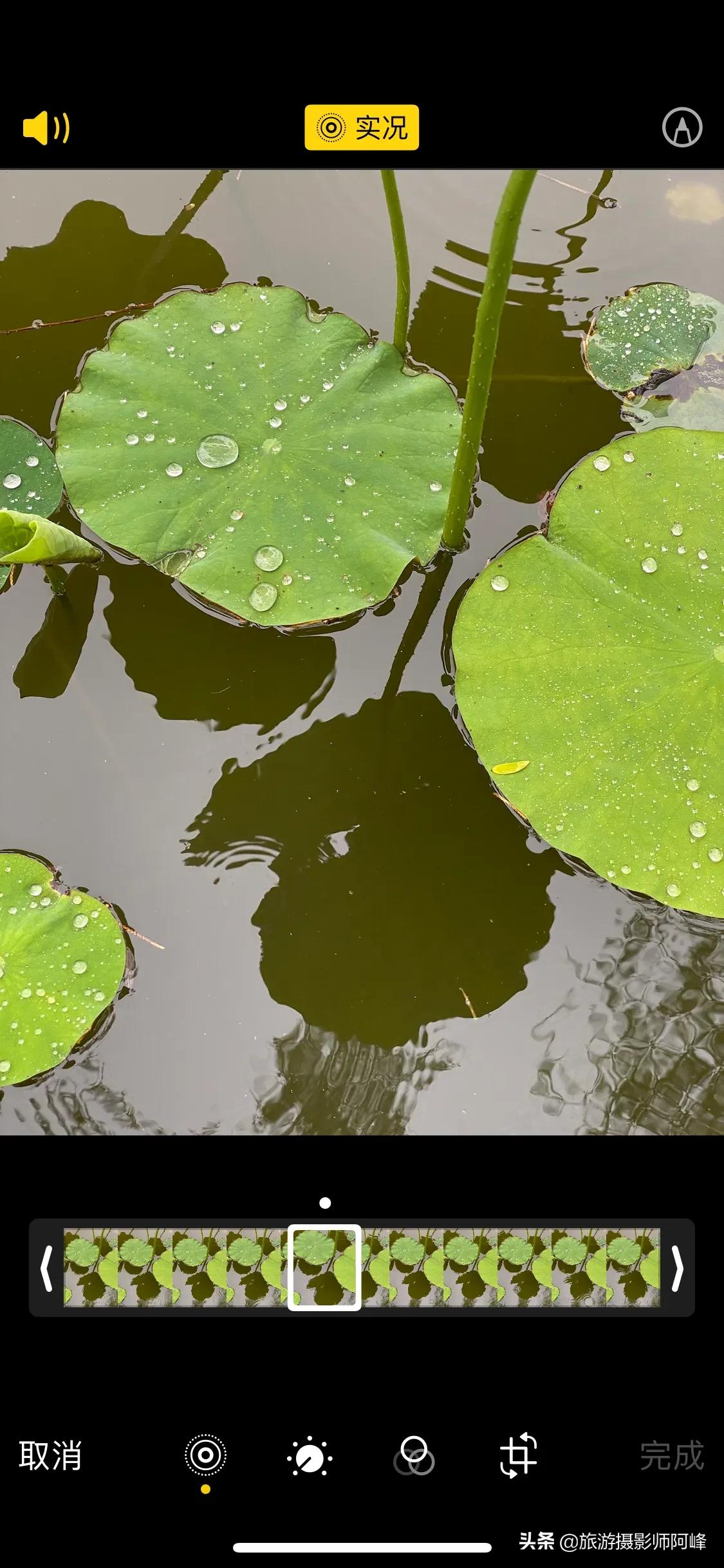 定格瞬间苹果,iphone实况功能