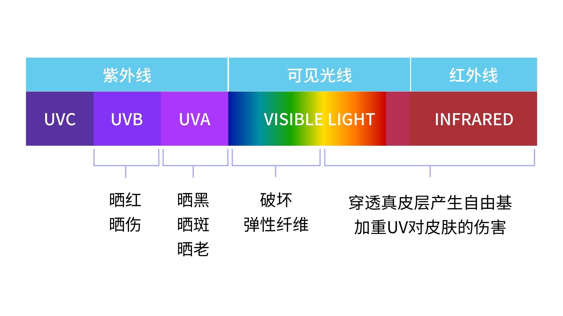 你的伊百度「精简护肤指南」到了，请查收