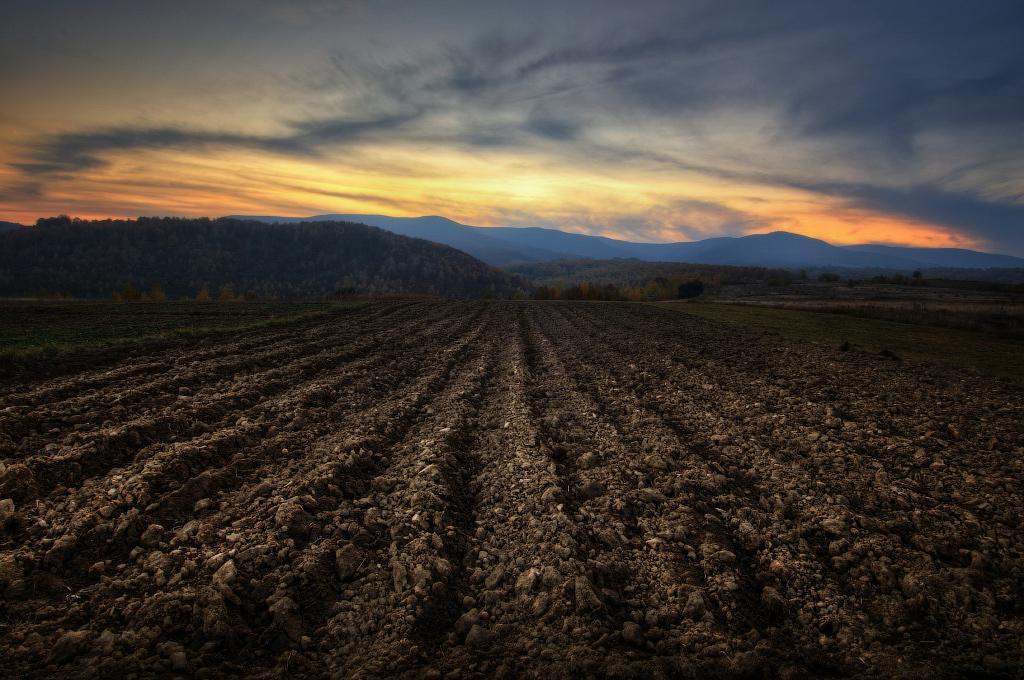 乌克兰总统泽连斯基在波兰,乌克兰总统泽连斯基谈论波兰野心