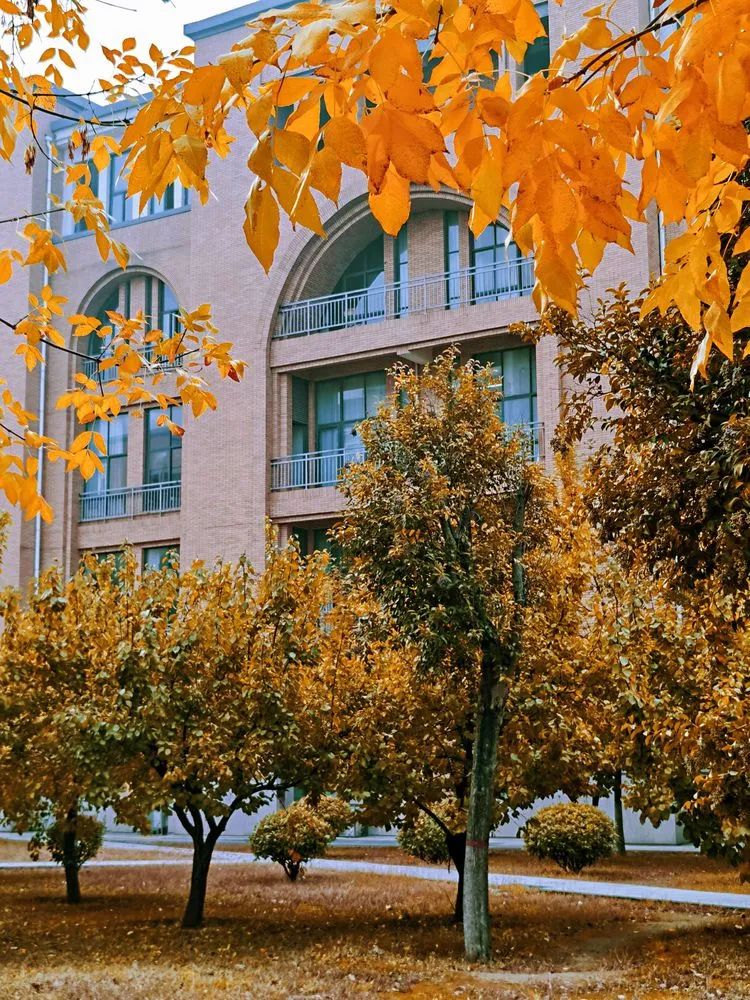 层林尽染的视频号,濮阳医专学历怎么样