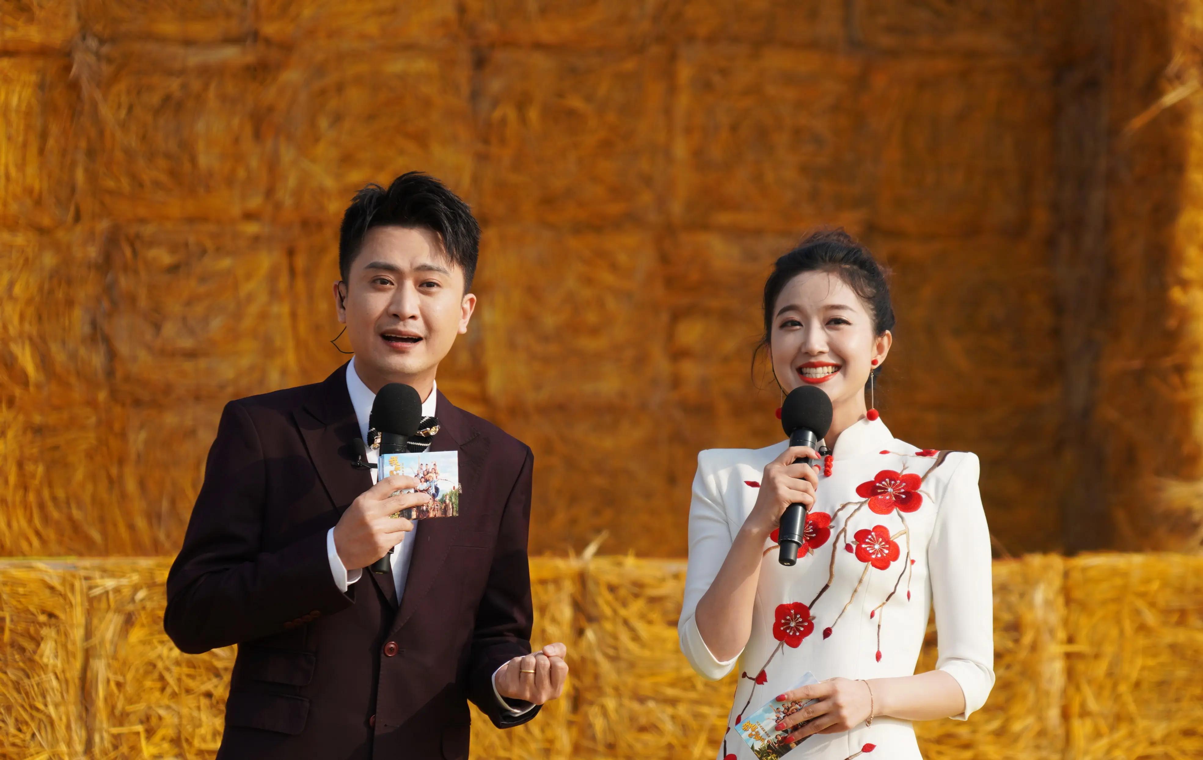 杨帆和妻子李枫哪年结的婚,杨帆妻子李枫简介