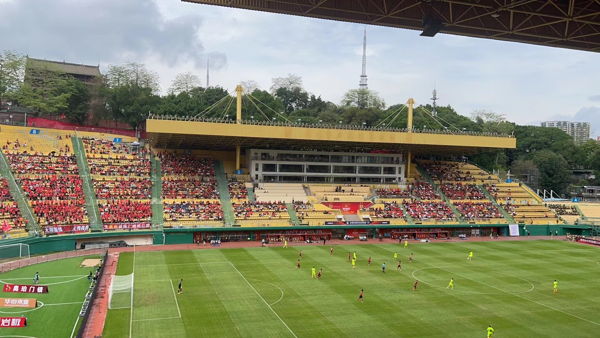 影豹和广州队,影豹广州店