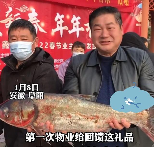 物业现捕5000条鱼送业主,物业买万斤鲢鱼发给业主
