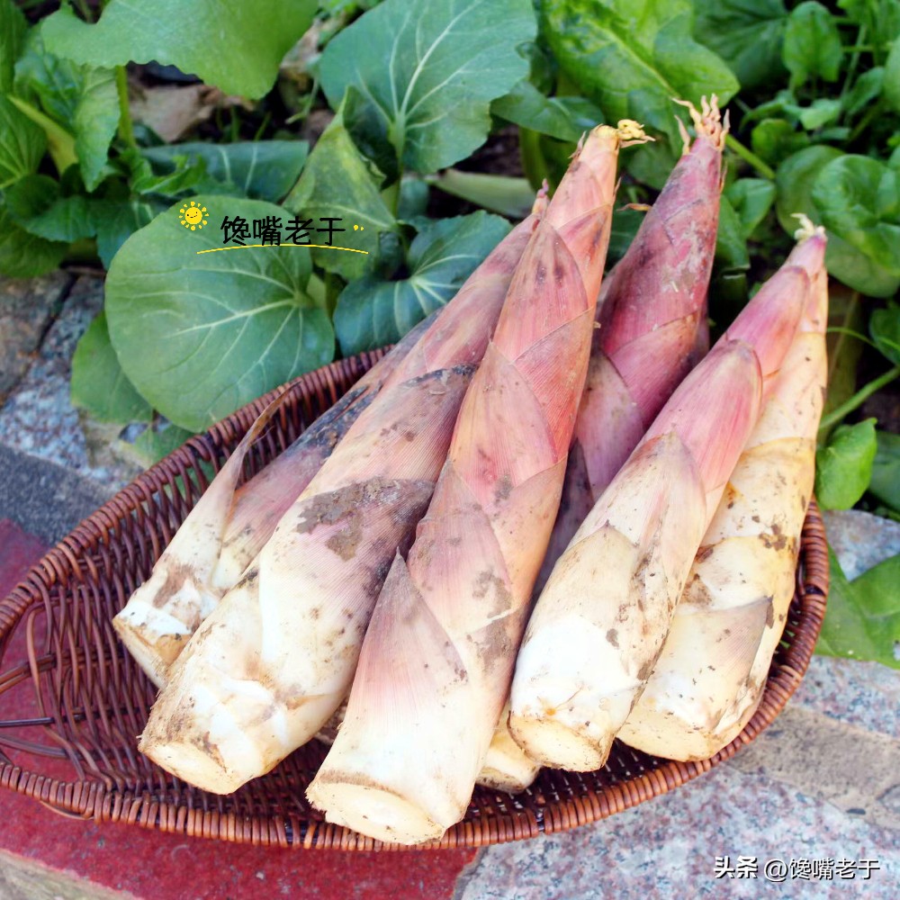 春笋几月份能买到,春笋应该买哪一种