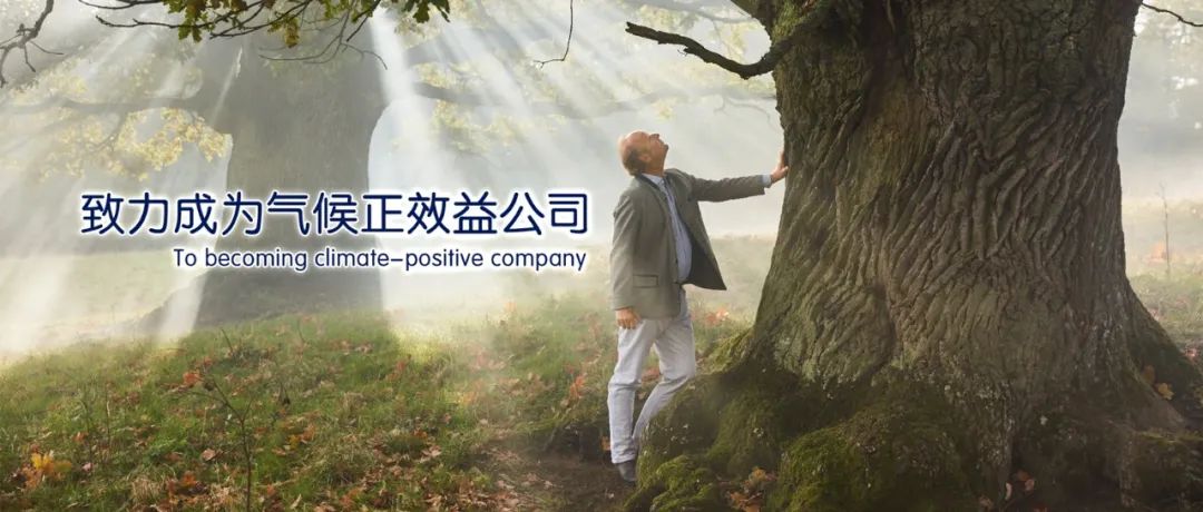 hipp喜宝荷兰版有机益生菌奶粉3段,喜宝婴幼儿食品