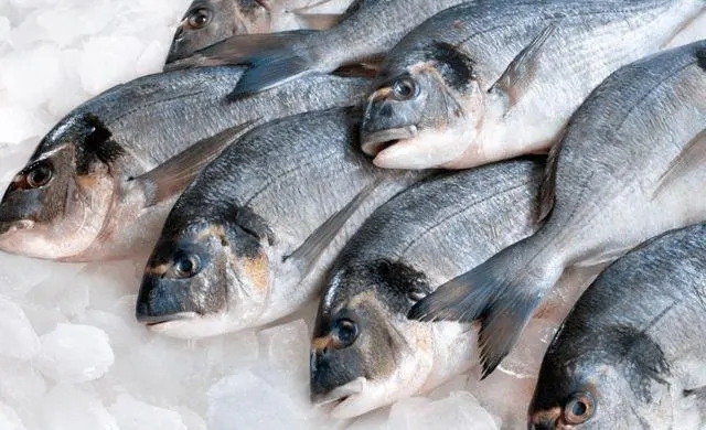 便宜野生的深海鱼有哪些,菜市最常见的深海鱼