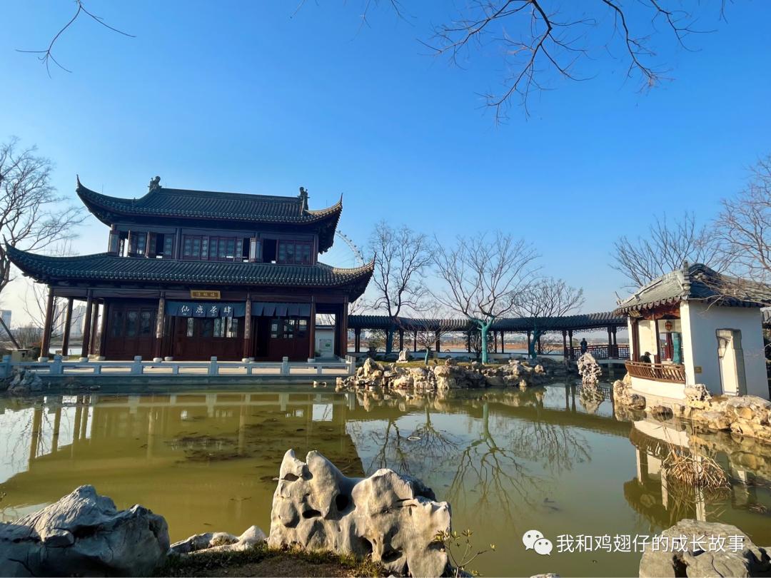 爱美丽推荐打卡第76|合肥必打卡|草坪+湖泊+游乐园+萌宠市集+花海