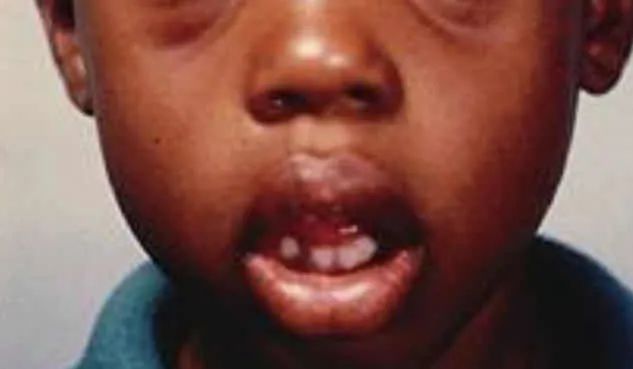 在*裤内**里加燕窝和胶原这种鬼话都说得出来？