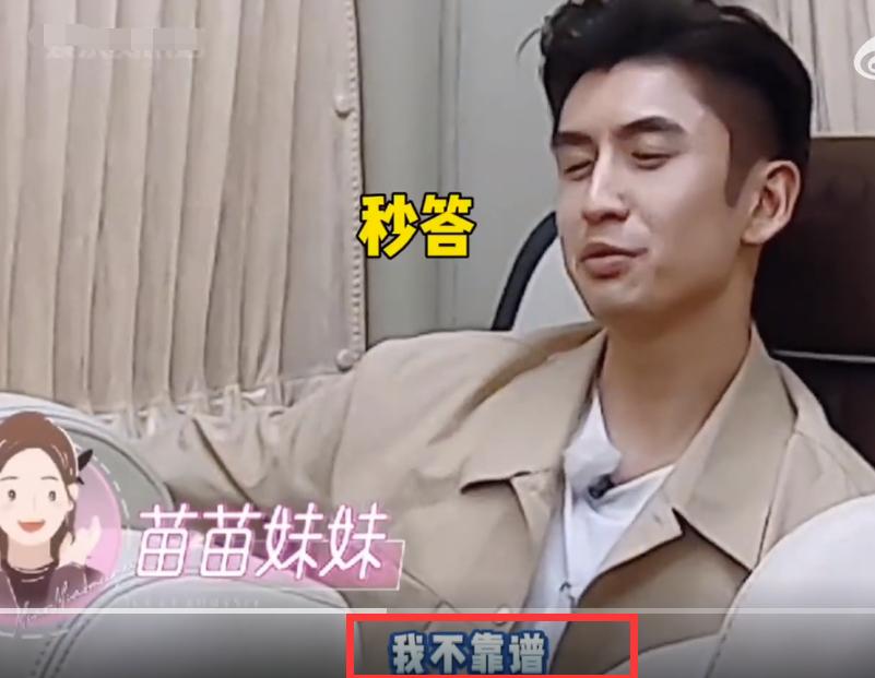 郑钧评价苗苗扮猪吃老虎,苗苗评价郑钧刘芸