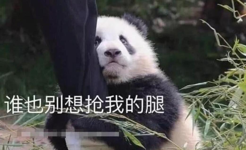 网易2022新游能不能搬砖？玩家：千万别来，我怕你抢我饭碗