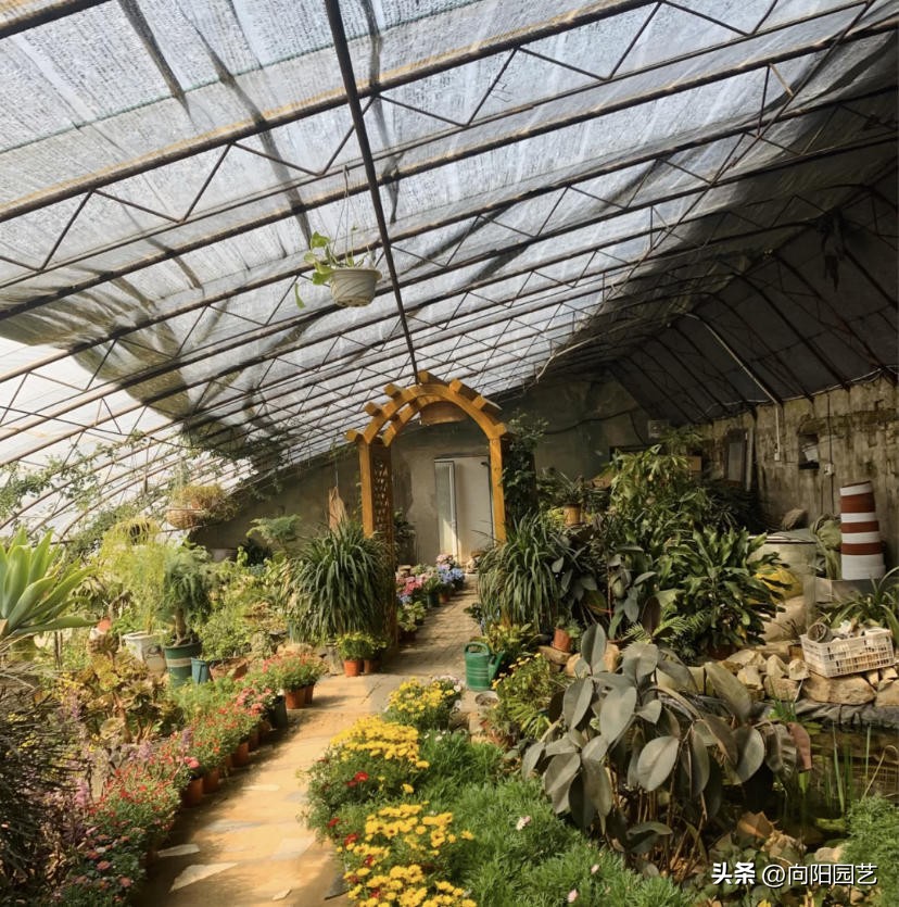 花卉生意有多少利润,花卉生意好做吗赚钱吗