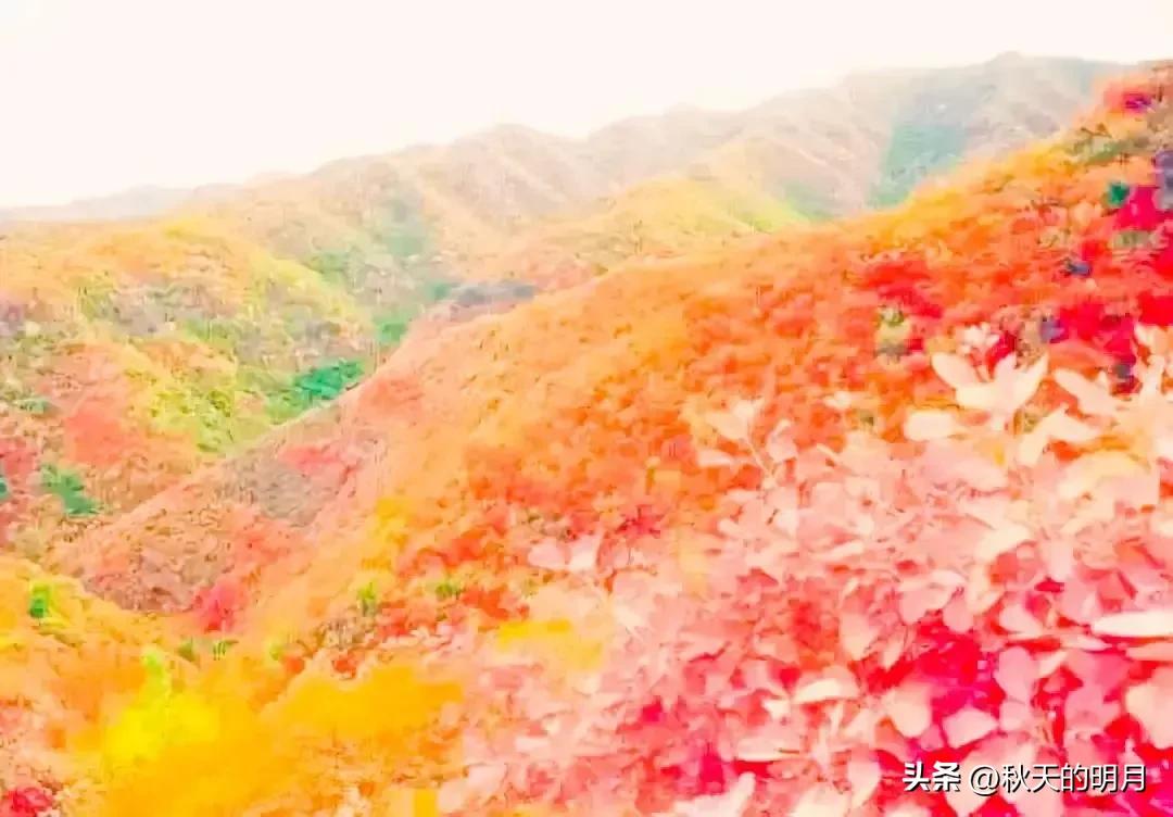 年过五十的七条人生忠告,闷声发大财的人都有四个共性