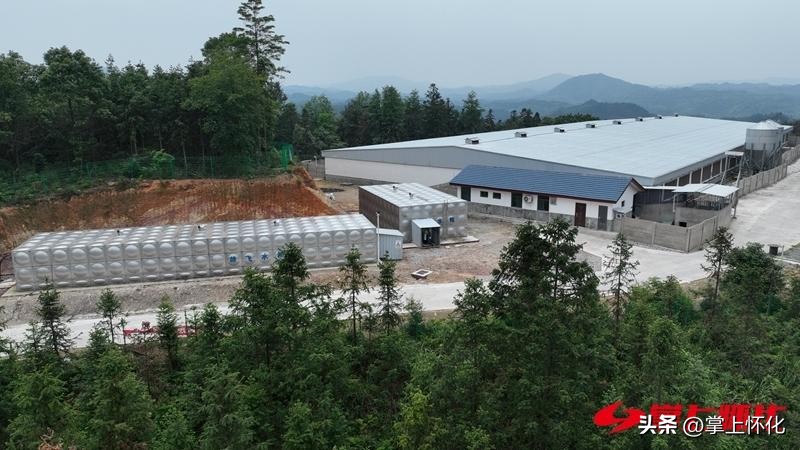 畜牧产业再提升乡村振兴再提速,畜牧业乡村振兴工作