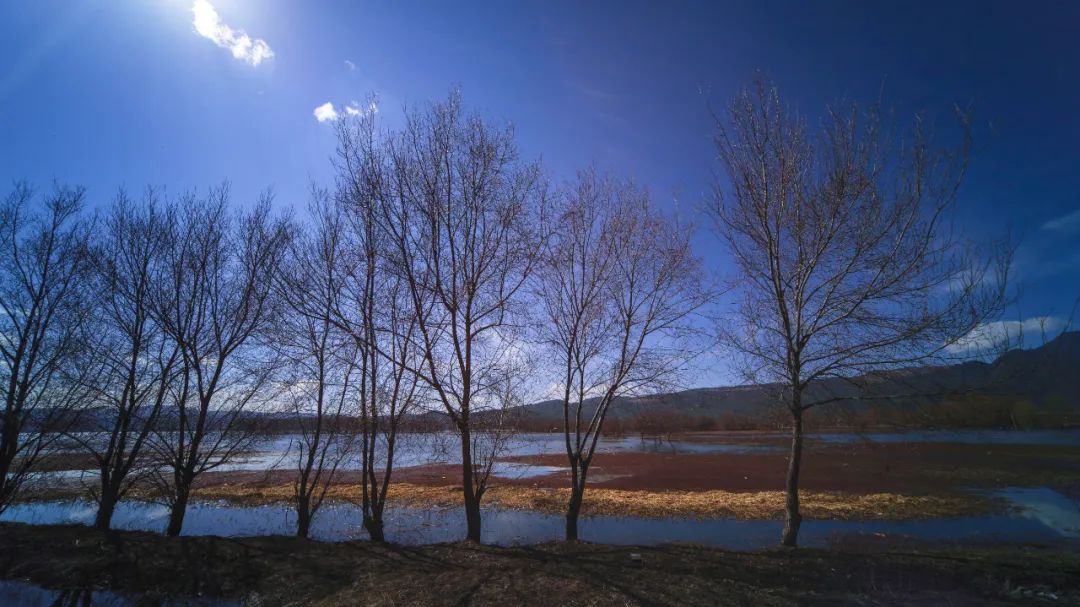 鑰佽洐15mmf4.5绉昏酱闀滃ご,鑰佽洐7.5f2璇勬祴