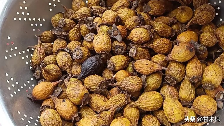 广西珍贵野果既能泡茶又能煲汤,黄色带刺泡酒的野果