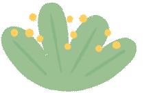 深圳宝安区两日游,深圳宝安区一日游推荐自由行