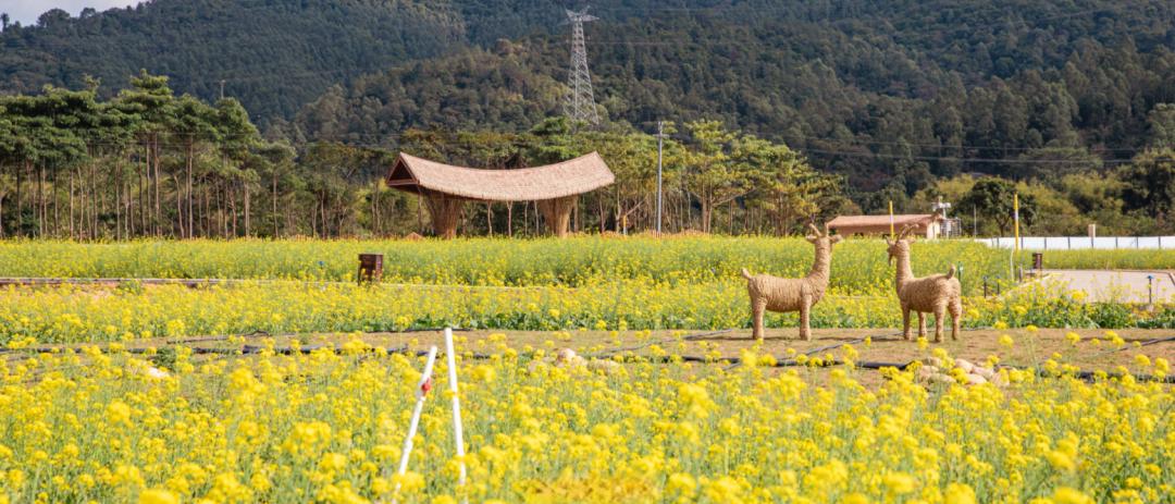 罗浮山浮生六季酒店,罗浮山浮生六季望山民宿酒店天气
