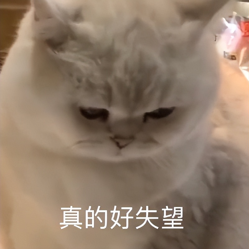 微信文件传输助手的用法,微信文件传输助手功能