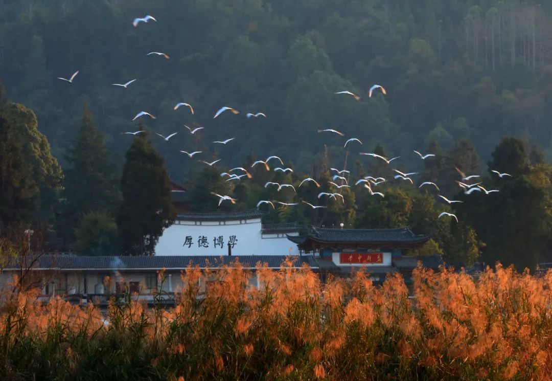 腾冲出游,腾冲诗和远方