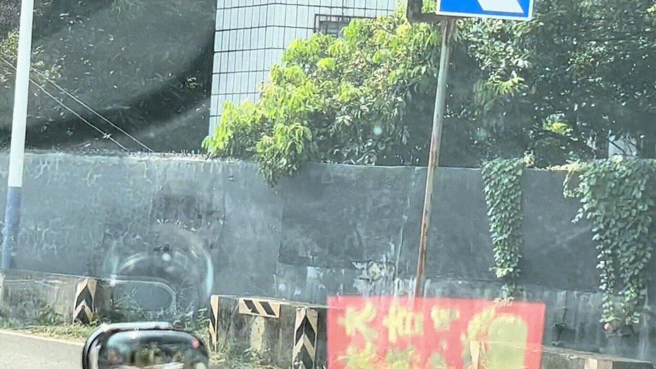 开店创业需要具备的条件,创业到底需要什么手续