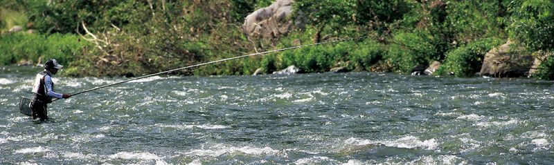 9米超轻竿测试,9米轻量竿