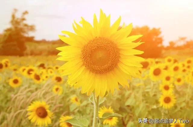 什么是实体店与网店,实体和电商哪个便宜