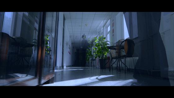 中国法治现状,真实的法律有哪些