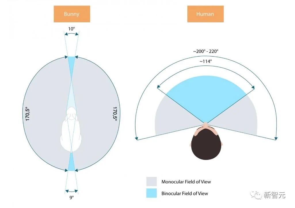 上帝也爱元宇宙！从梵蒂冈到麦加，大学生用代码建起虚拟圣殿