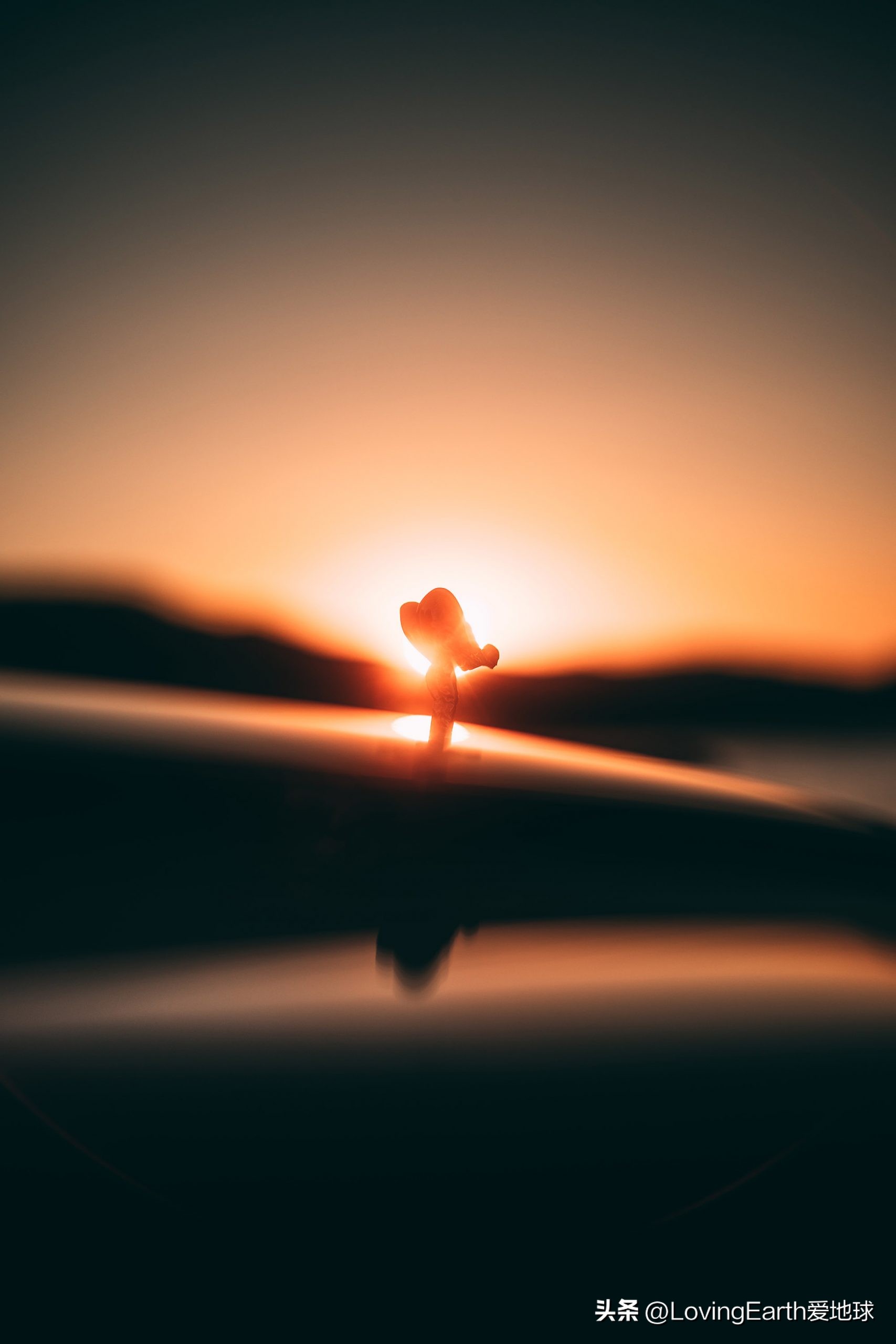 劳斯莱斯对车镜子干杯视频,劳斯莱斯幻影让世界充满爱