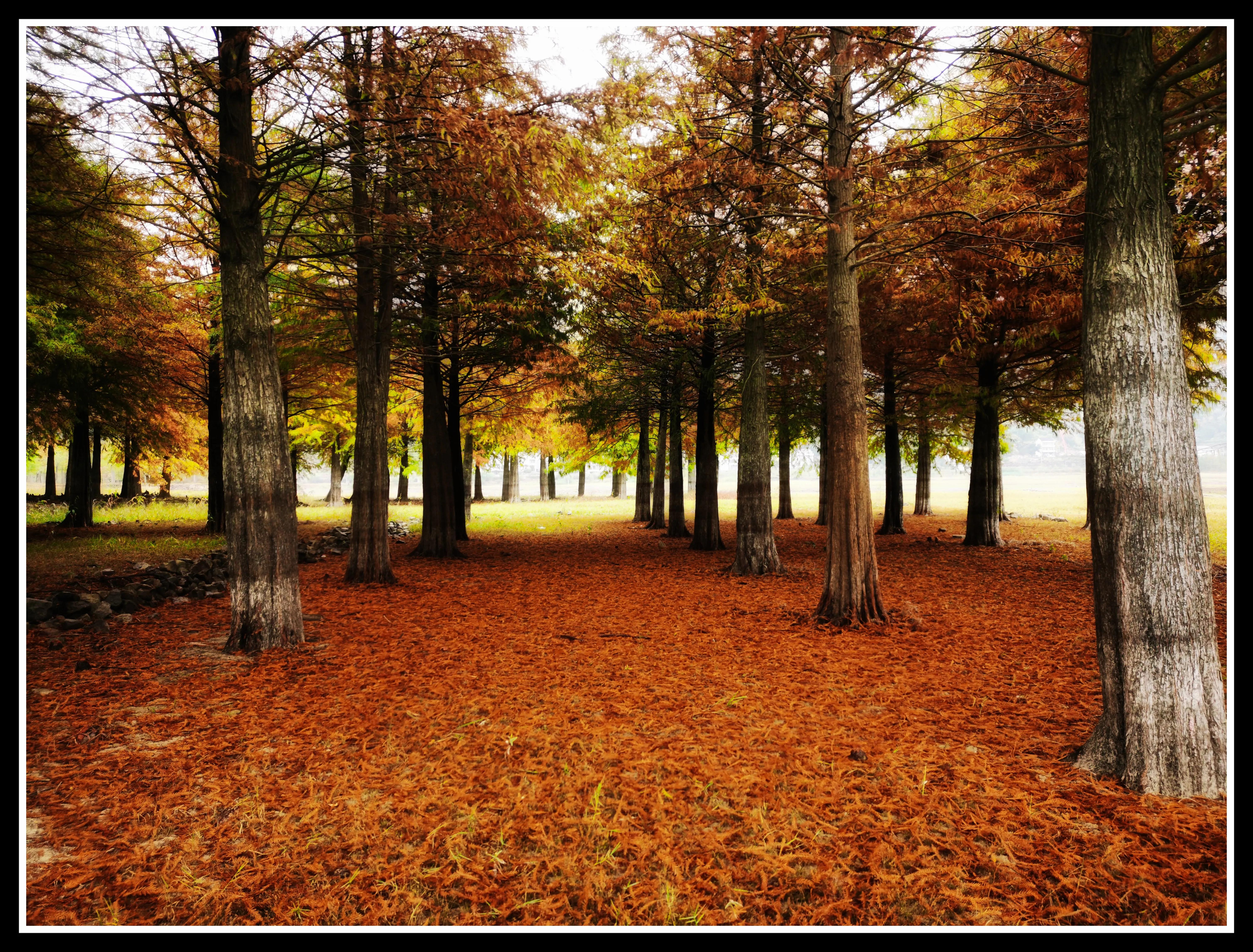 老师给我打电话谈论孩子的问题,老师来电的反应