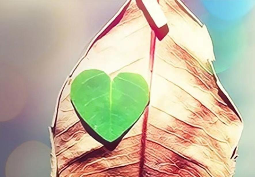 男人把你放心上了，这些下意识的“小动作”，能看出他特别爱你