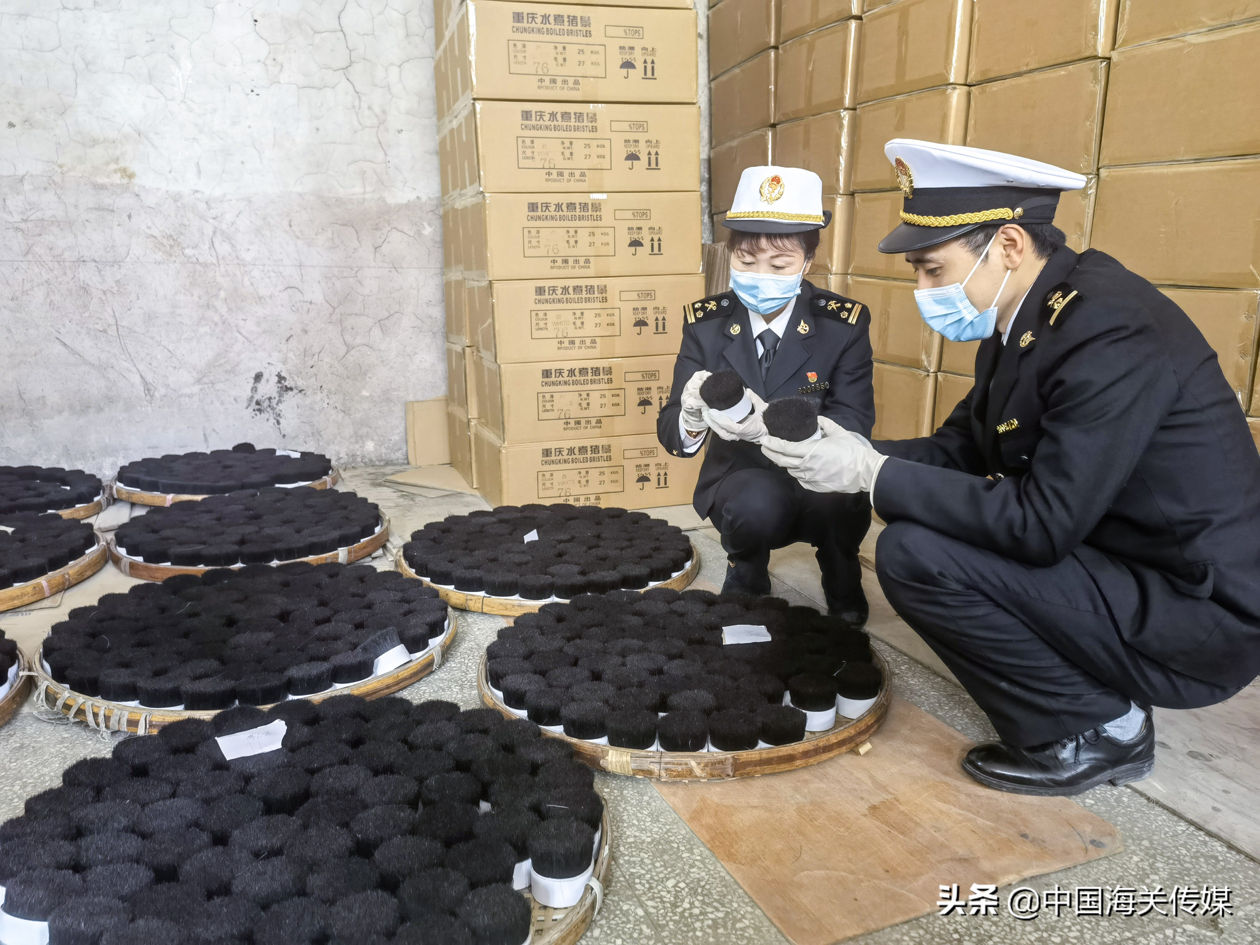 从残渣废料一跃成为各国购买产品“水煮猪鬃”如何变废为宝？