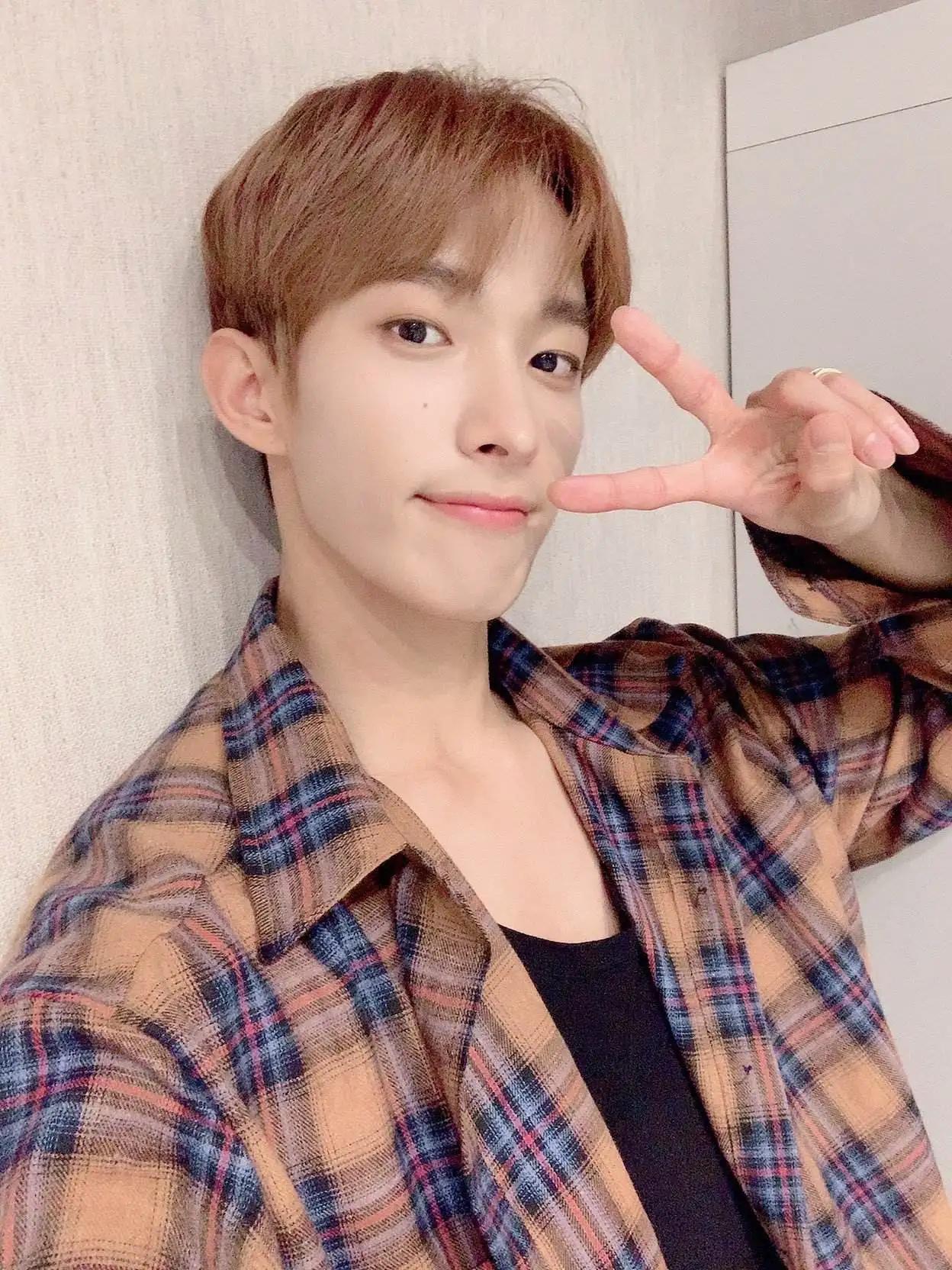 seventeen回归询问帖,seventeen大发语录