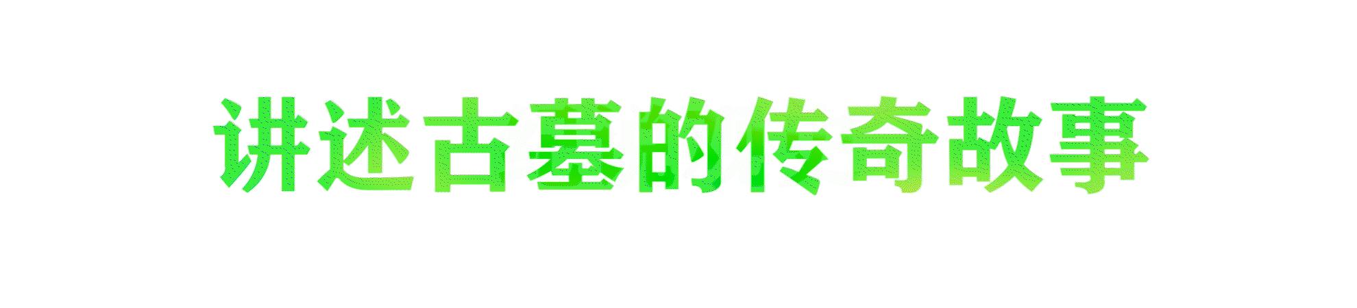 陕西一小墓出土价值超30亿珍宝,陕西穷人墓