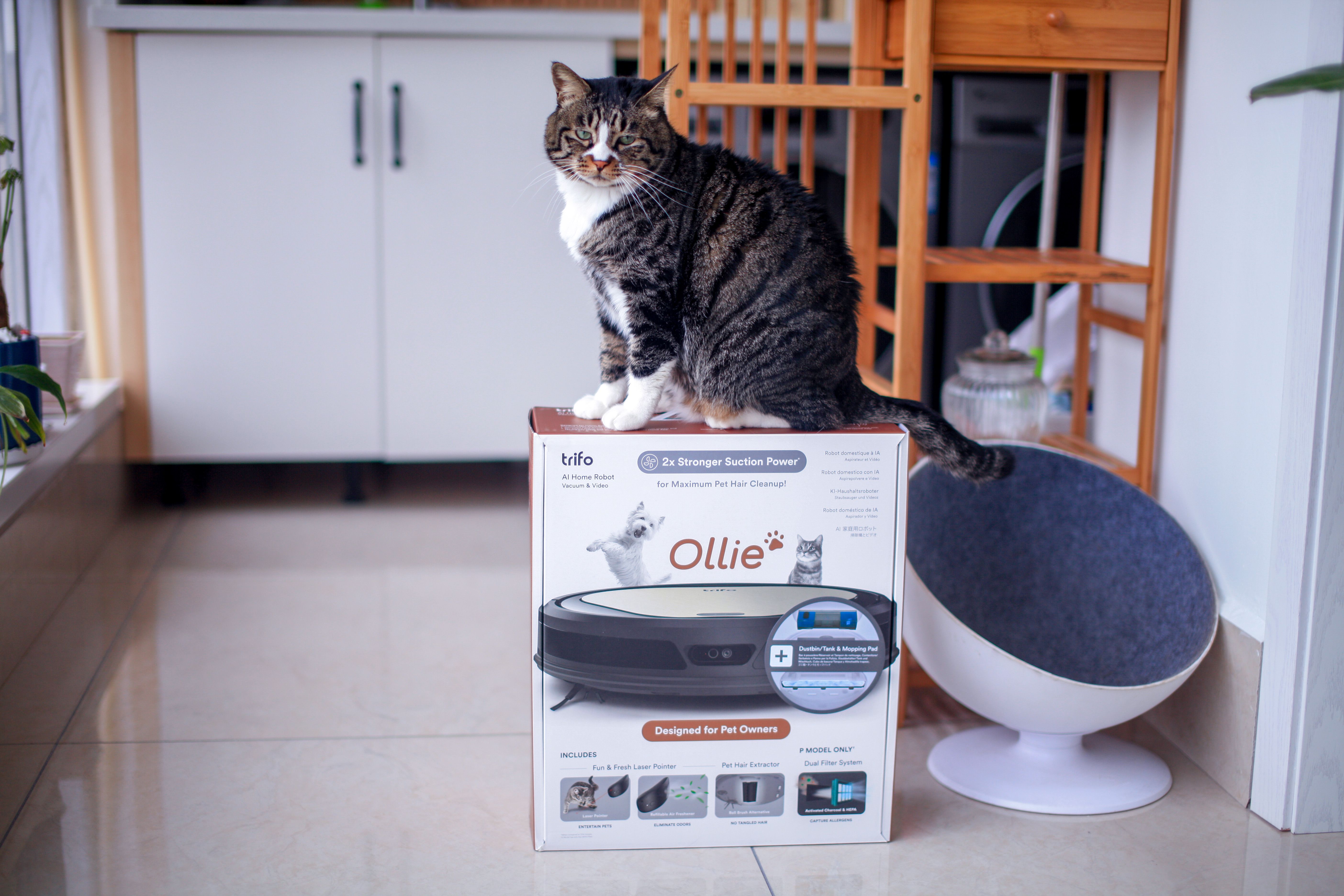 猫之使徒·激光逗猫征服者-TrifoOllie宠物扫拖机器人