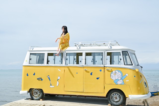 就业报到证取消了，谁会受影响？