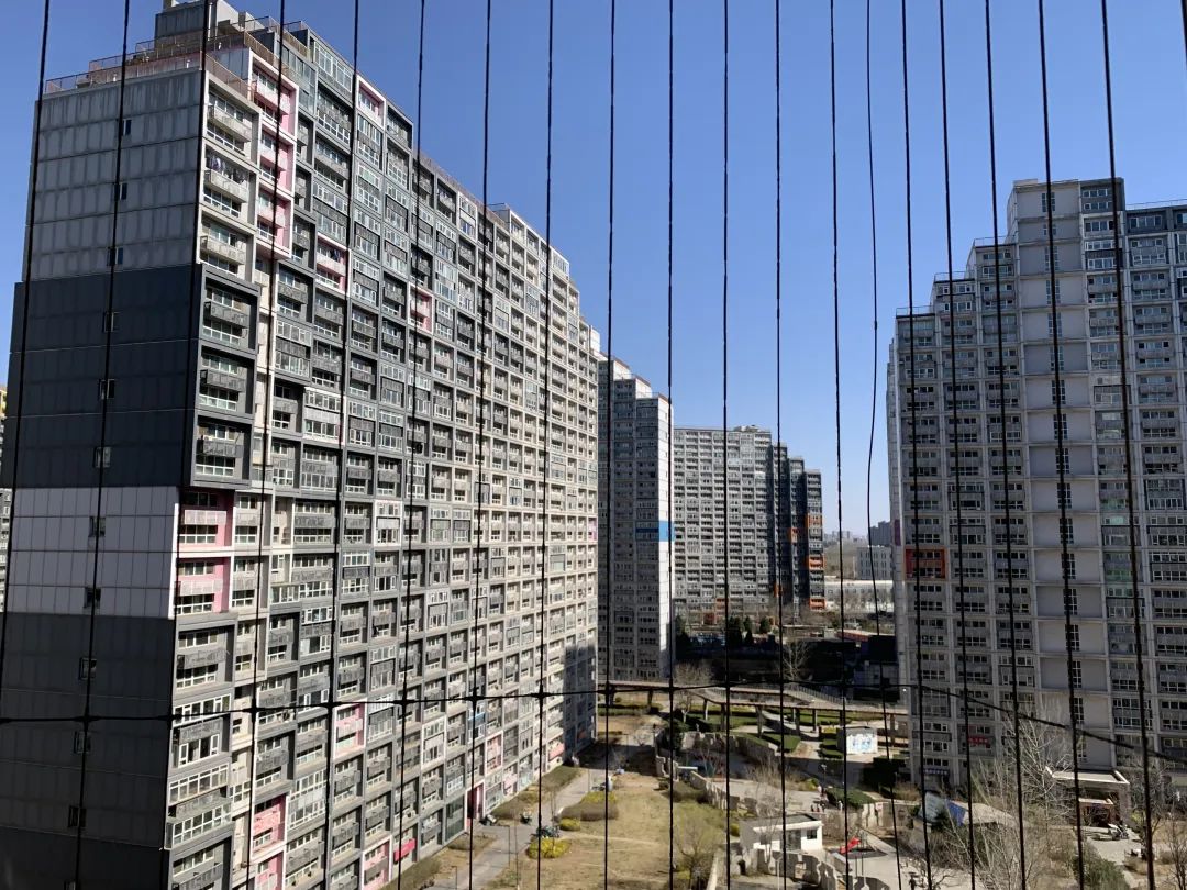 北漂神盘,北漂神片