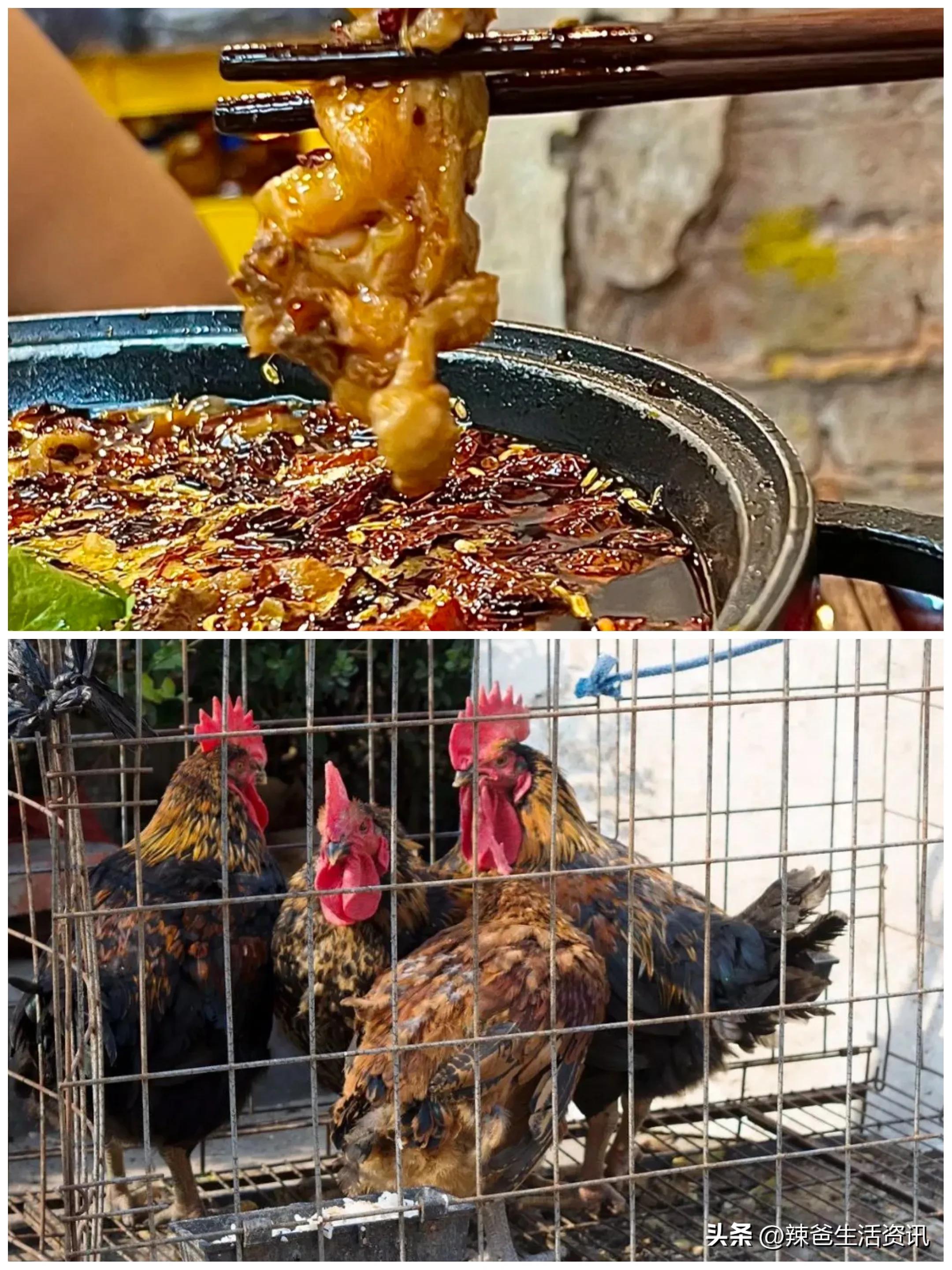 去重庆旅游吃哪些特色美食,重庆有哪些好吃的美食推荐一下