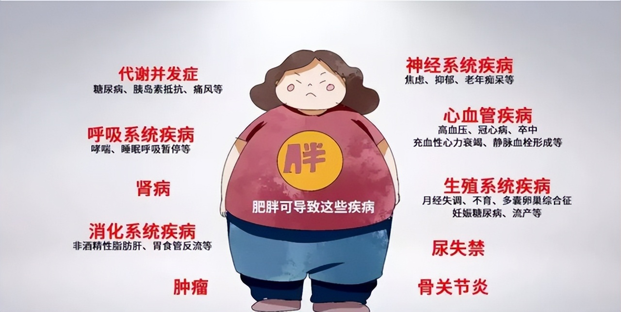 减脂餐红薯配什么吃掉秤比较快,容易掉秤的主食红黑榜