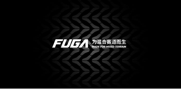 崛起的中国跑鞋,崛起的国产品牌