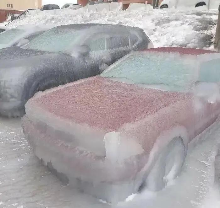 为什么裘皮大衣穿的人少了,为什么现在貂皮大衣便宜