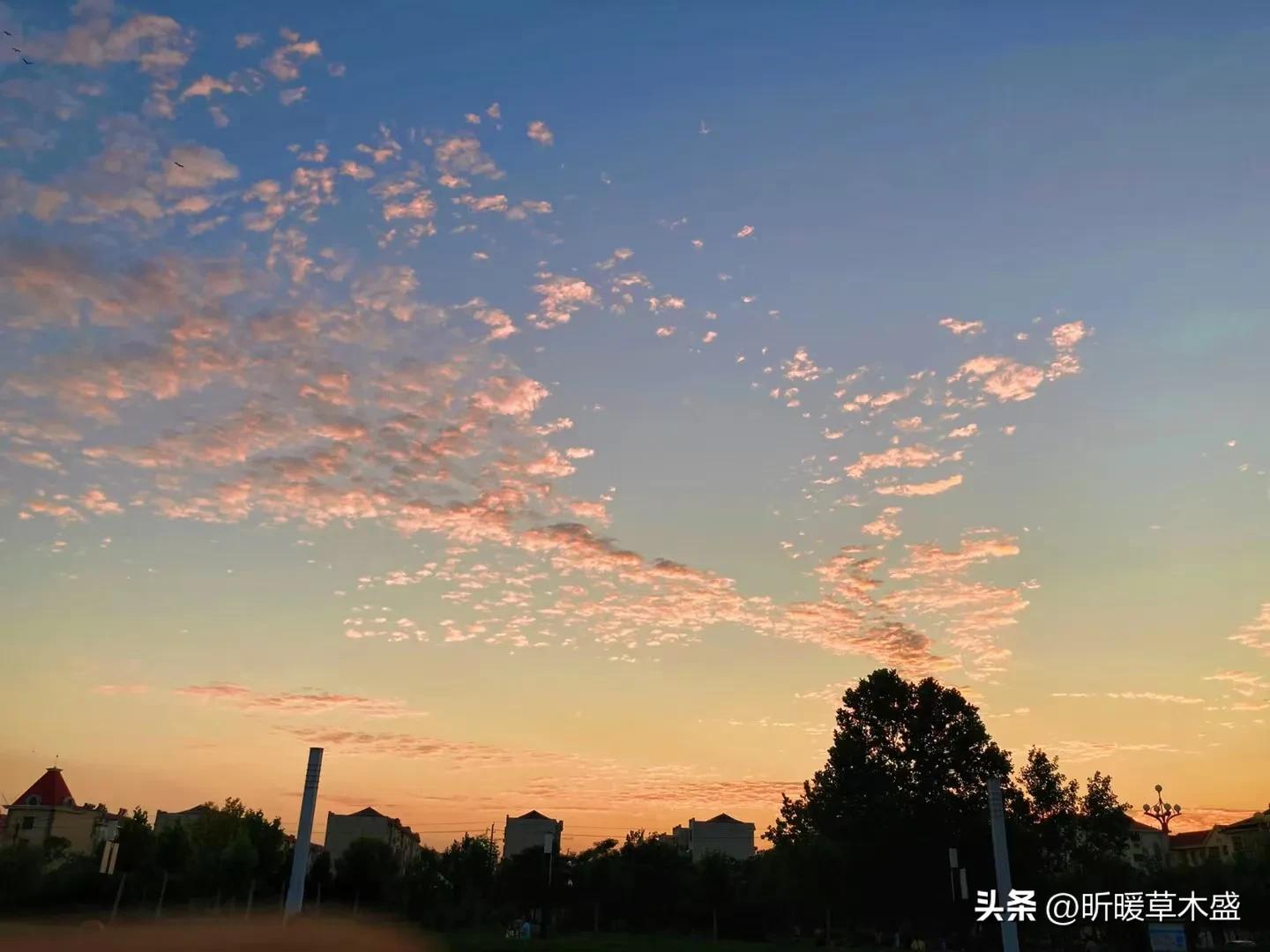 人活着不必计较得与舍,人活着不必那么累