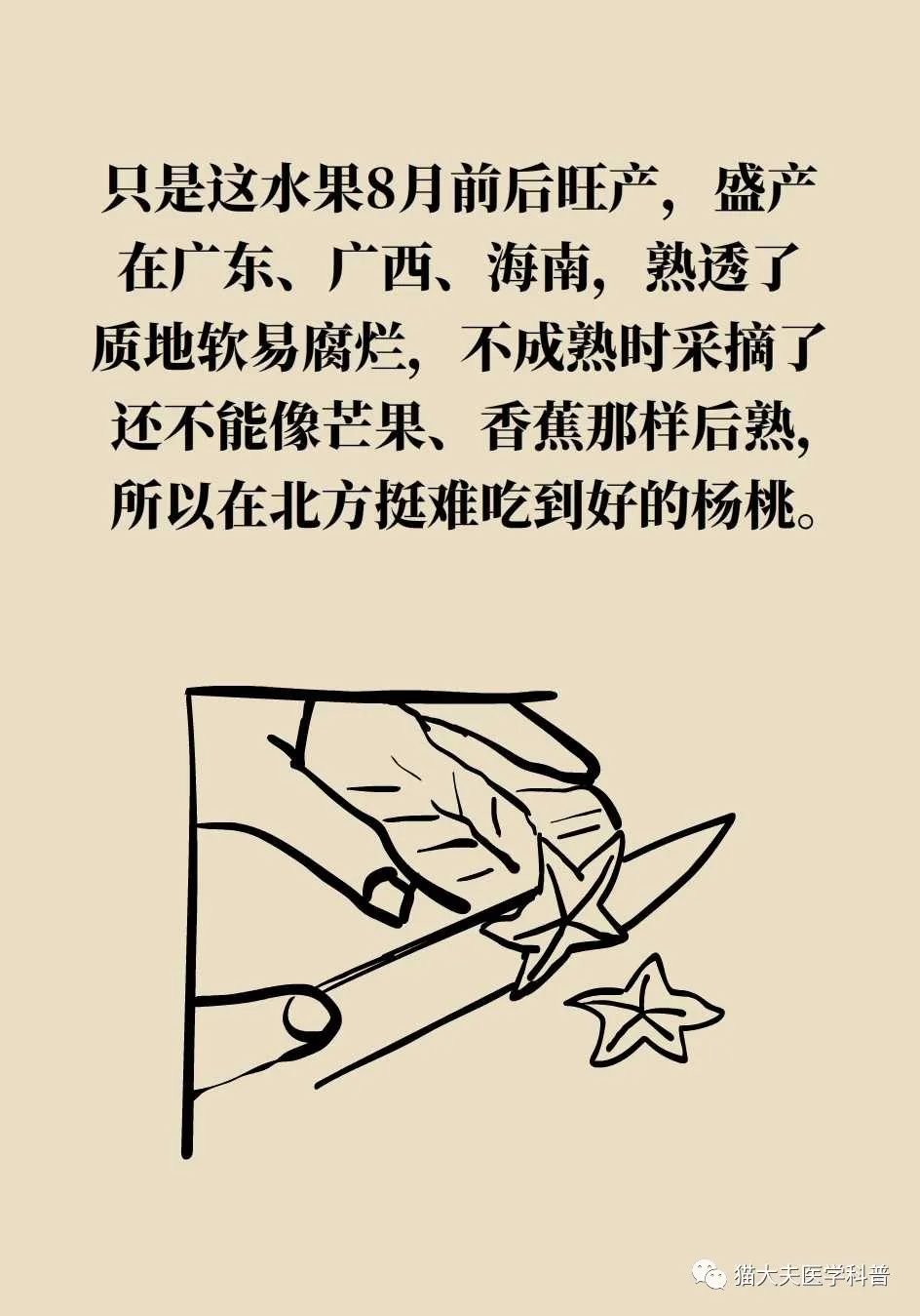 热量比较低适合减肥夜晚吃的水果,夏季水果推荐减肥吃哪些